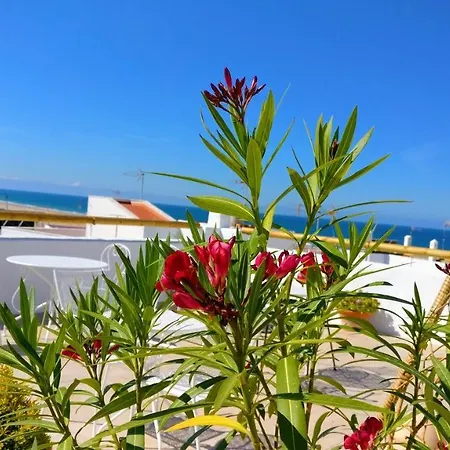Apartamento Y En El Centro La Jábega By Conil Conil De La Frontera