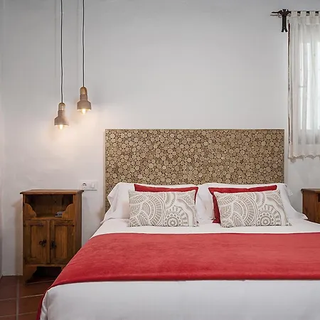 Apartamento Y En El Centro La Jábega By Conil Conil De La Frontera